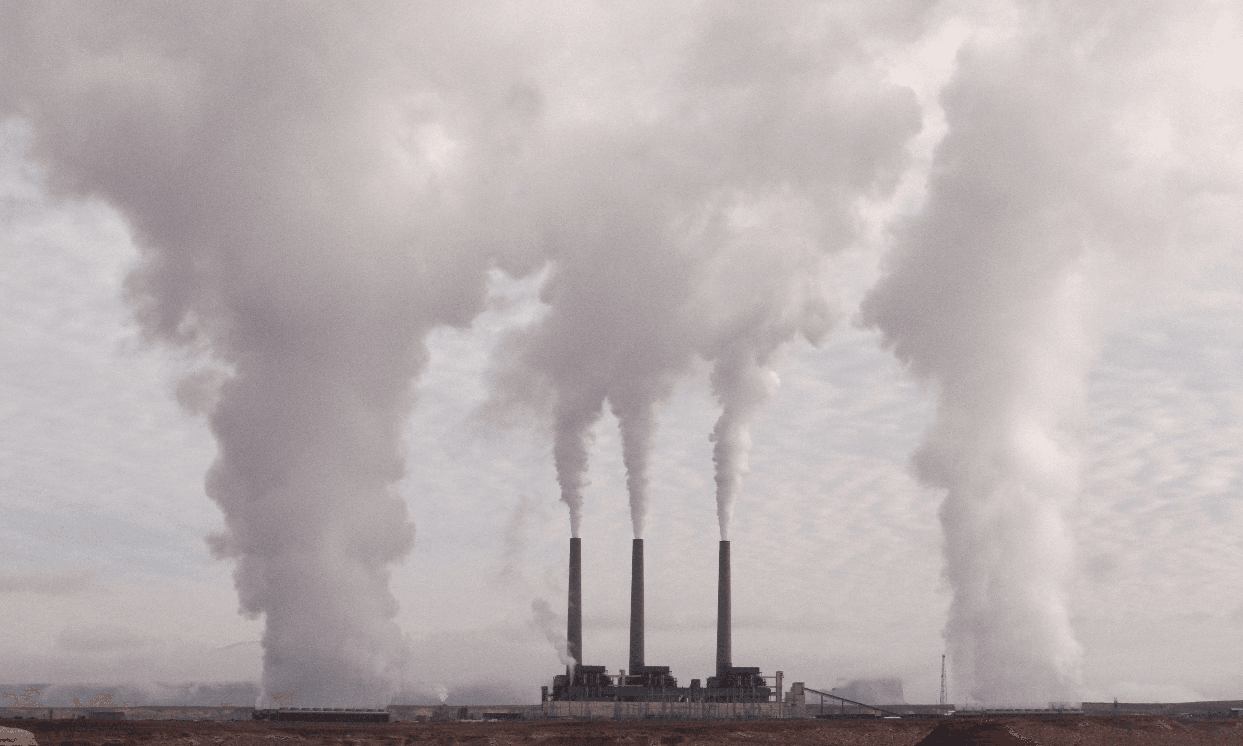 CO2 Reach New Record High, Highlighting Need for Carbon Offsetting in Indonesia