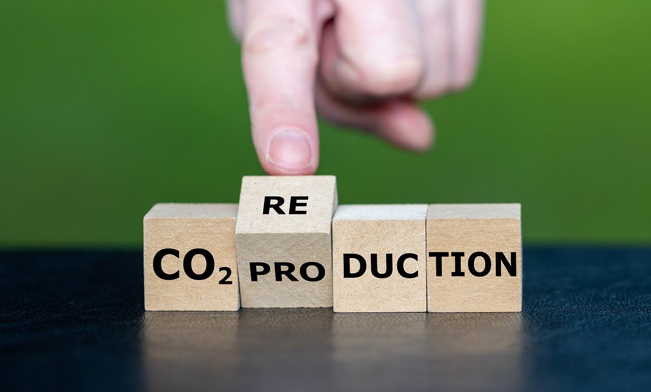 Tips On How To Choose A Reliable Carbon Offset Provider
